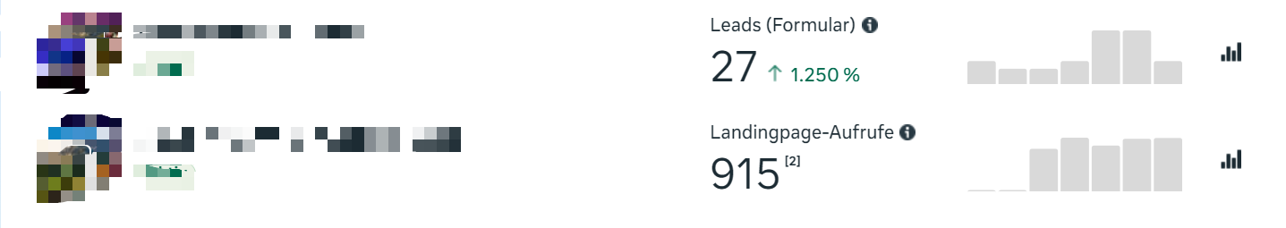 Meta Kampagne +1250 Prozent Lead Wachstum